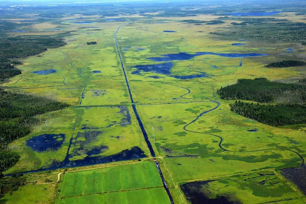 The 6,245-acre Missaquash Marsh is the largest managed marsh in Atlantic Canada and is known as a wildlife highway.
